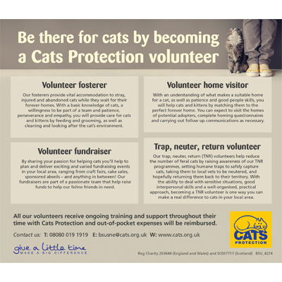 Cats protection