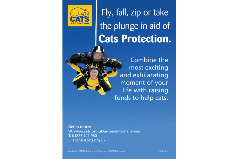 Cats Protection