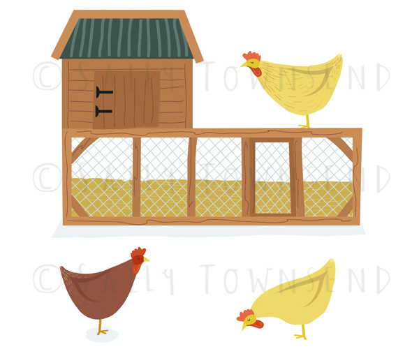 Chickens and Coop